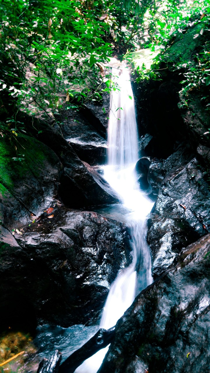 nature