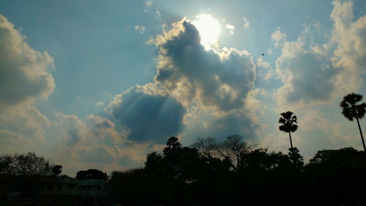 Nature wants to say something..........
