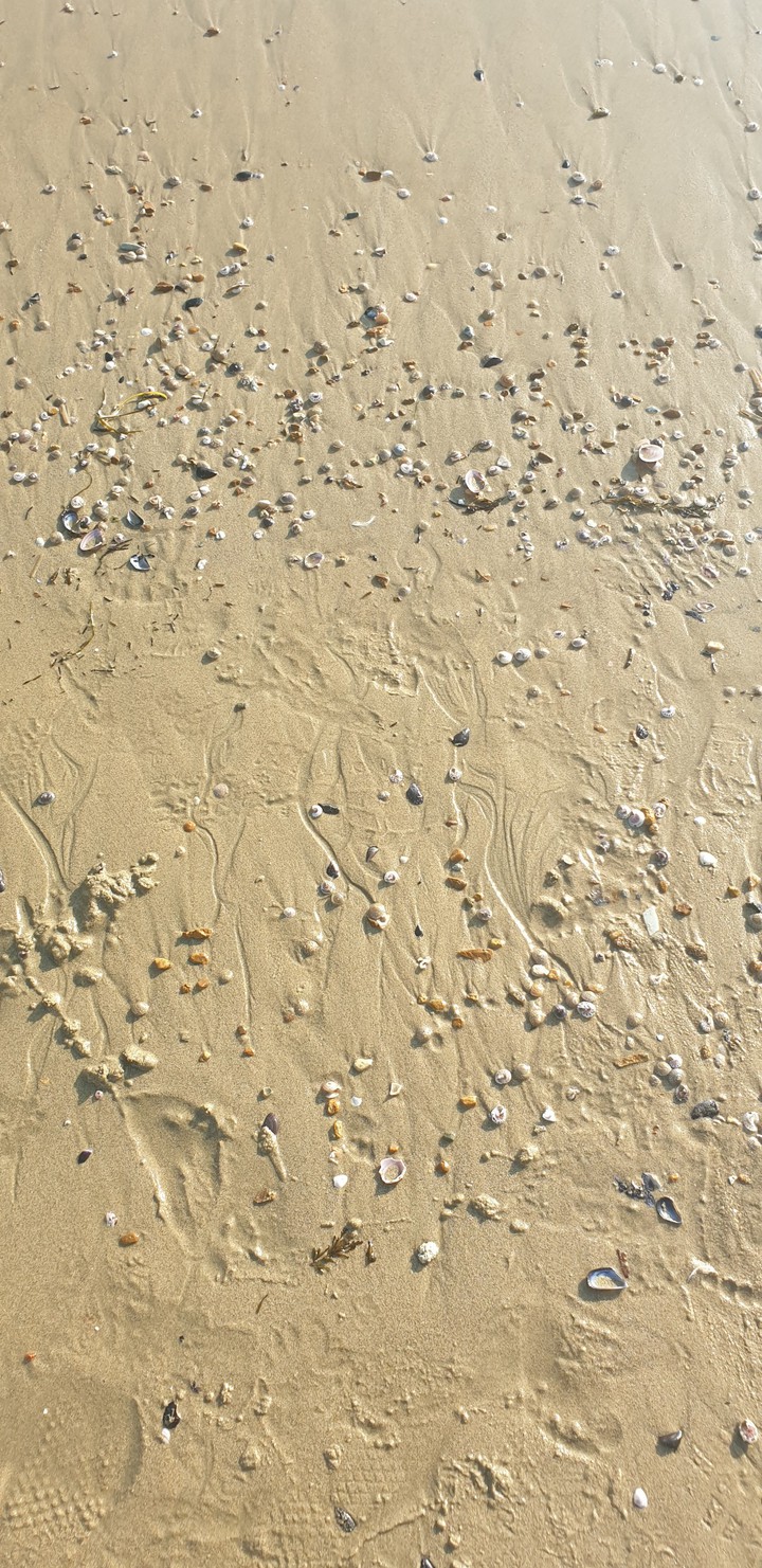 sand