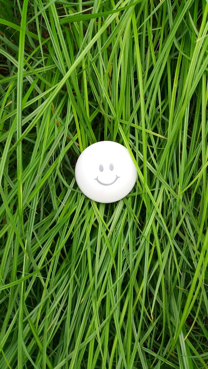 happy grass