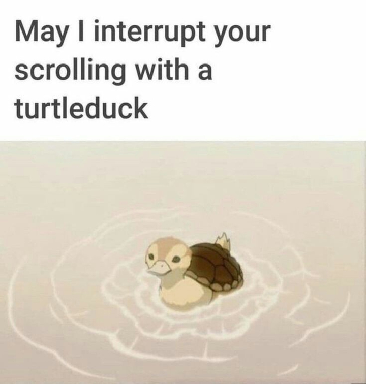 .