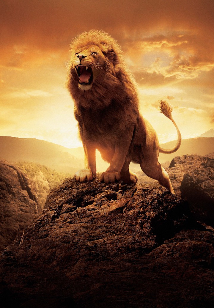 KING