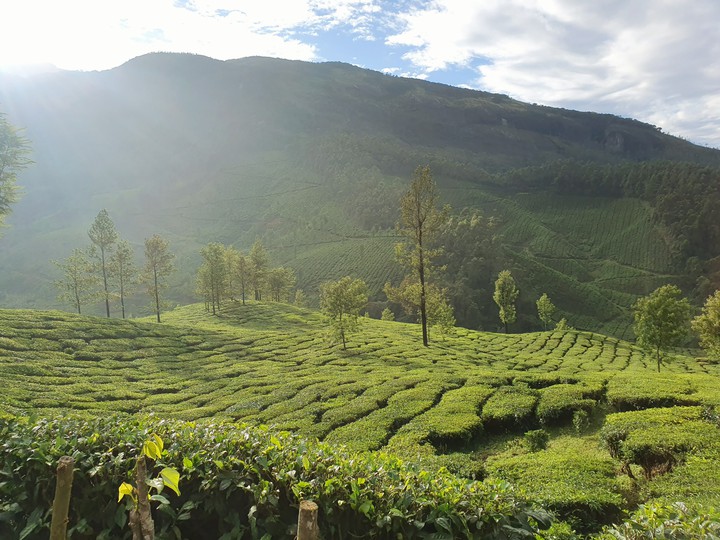 munnar