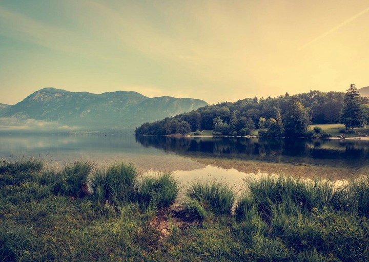 nature
