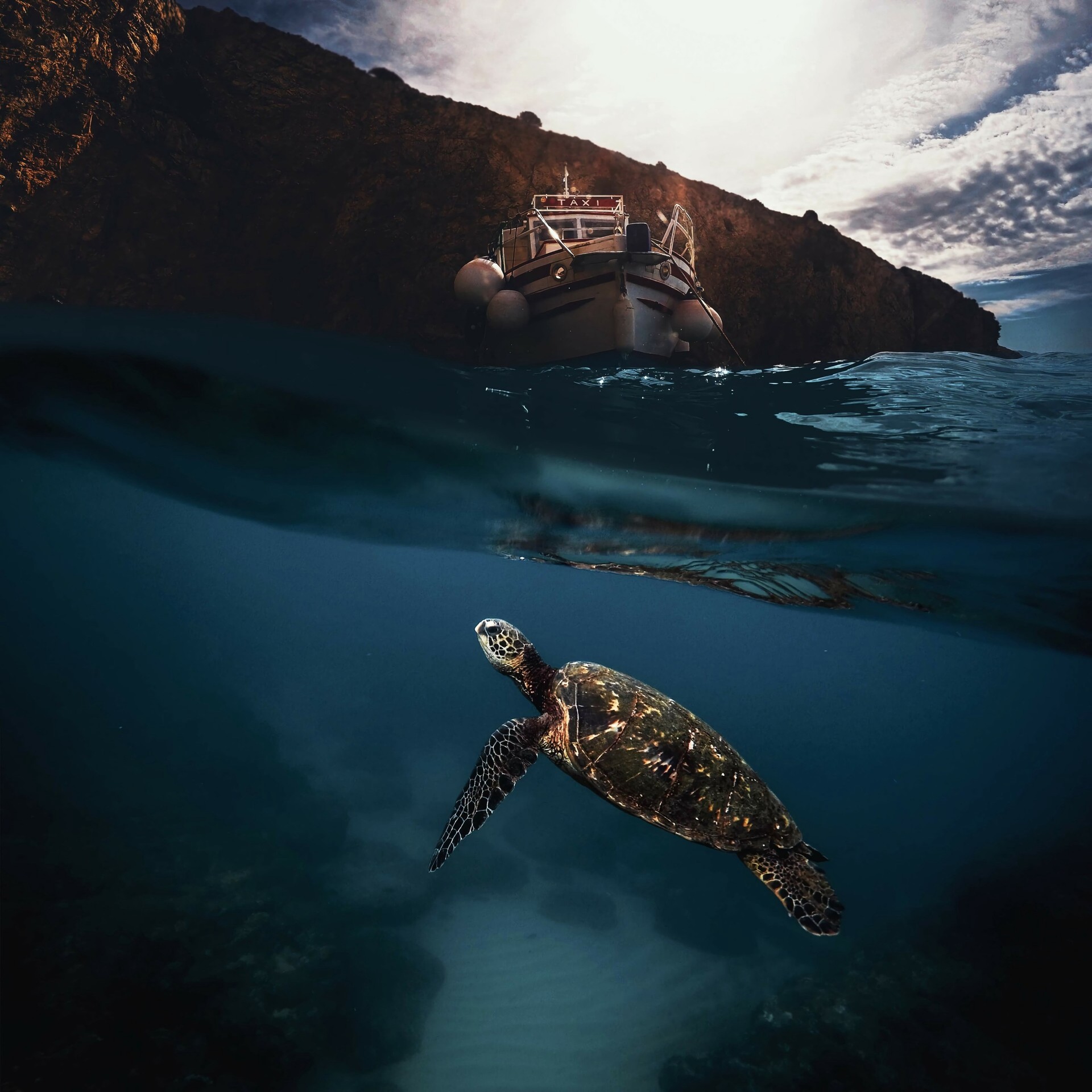 sky, tortoise Hintergrundbilder