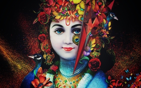 Lord krishna