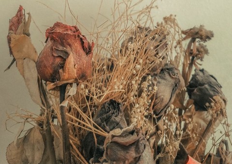 обои Potpourri, brown