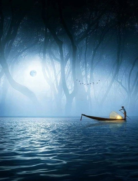 Nature