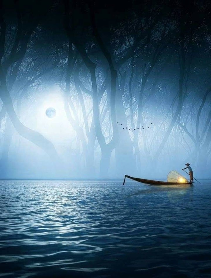 Nature