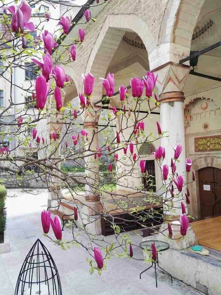 Sarajevo