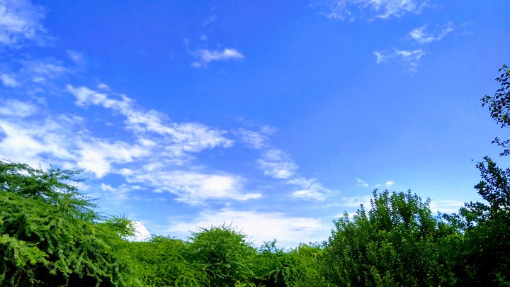 sk_nature