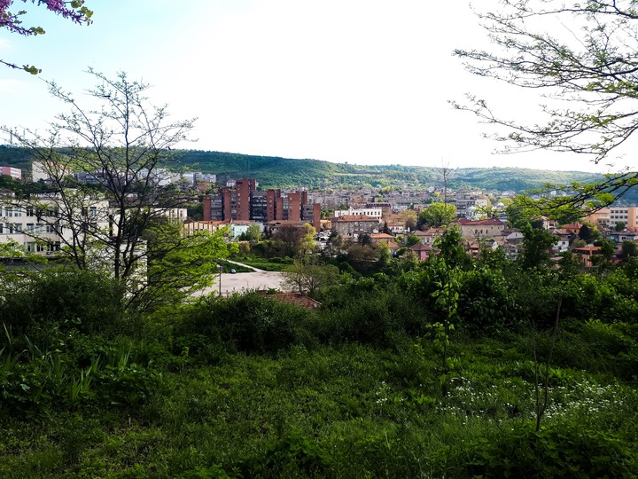 Countryside