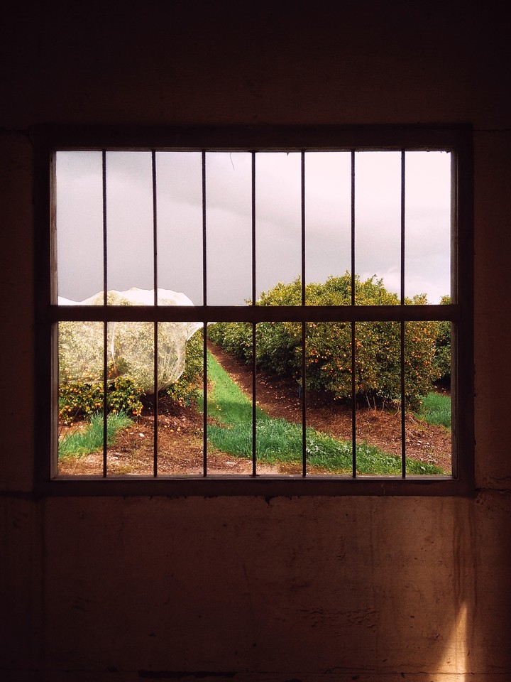 Window