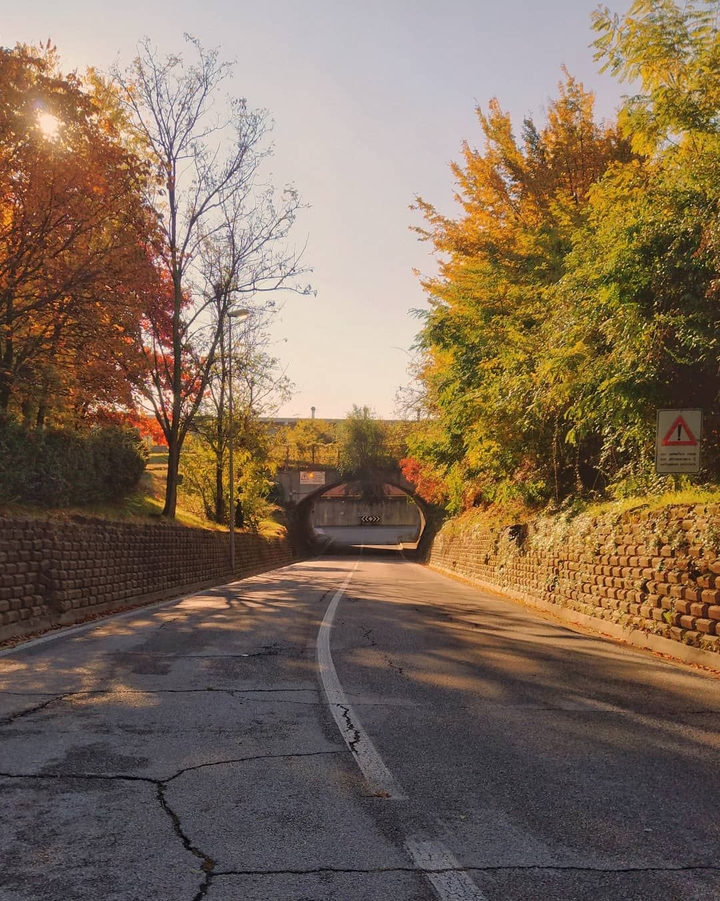 november