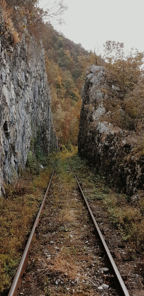 #railtransport #oravitaanina #oldestrailtransportinromania