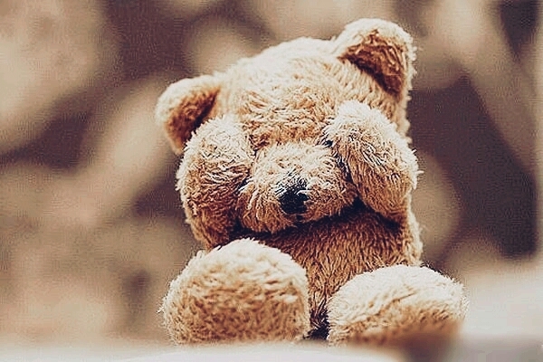 #teddy