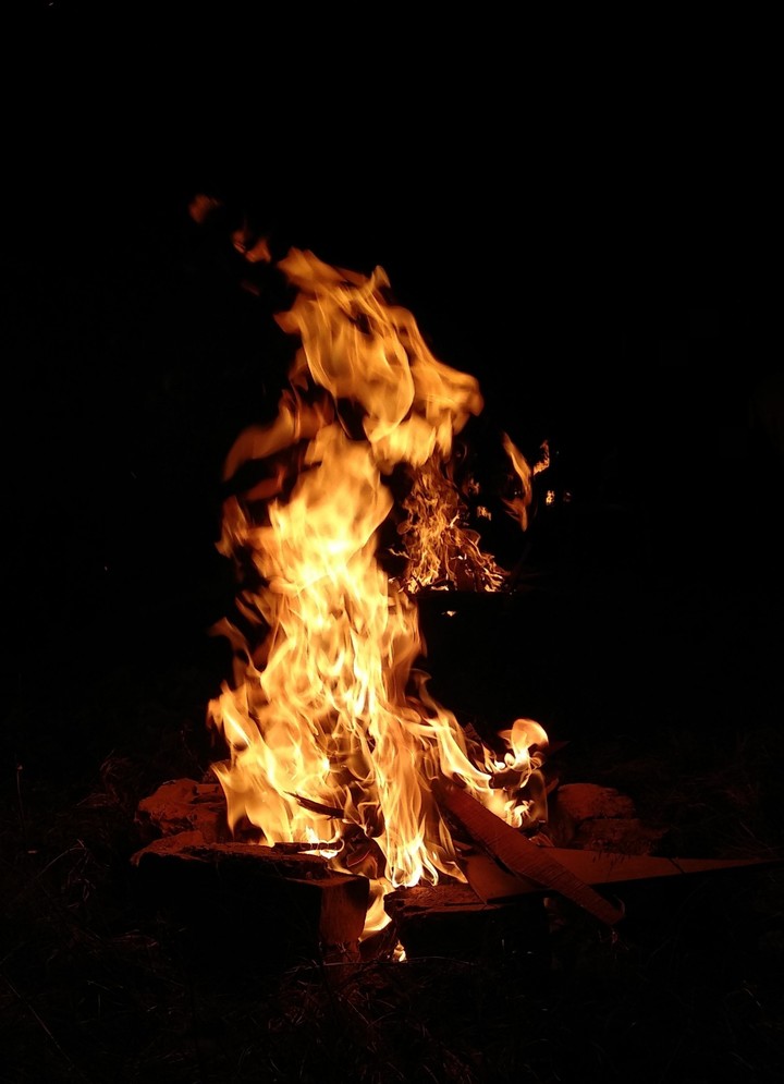 firewoods