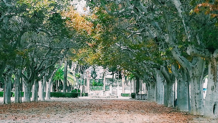 Tortosa