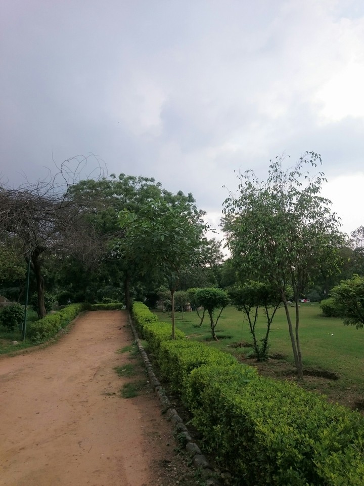 Cacti Park