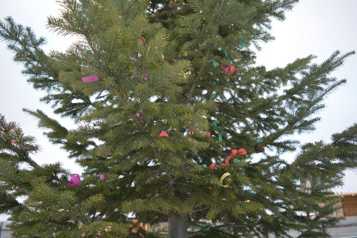 tree