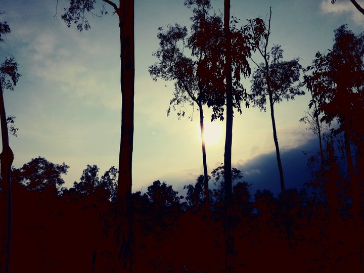 sunset 