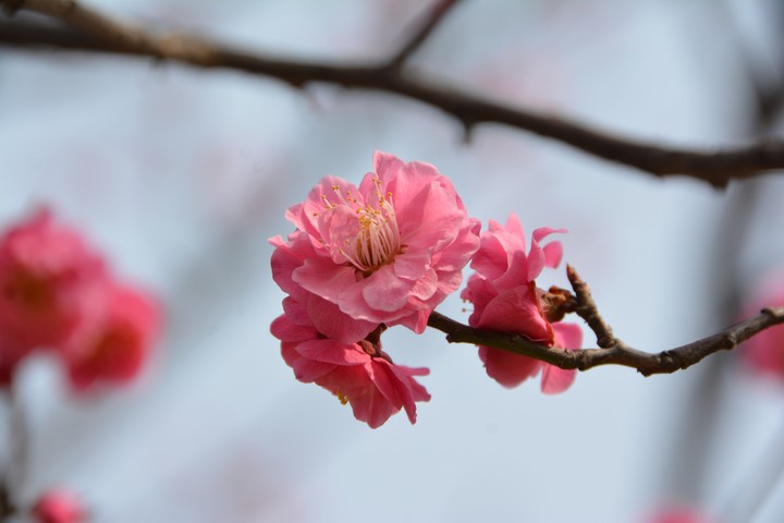 풍경이미지