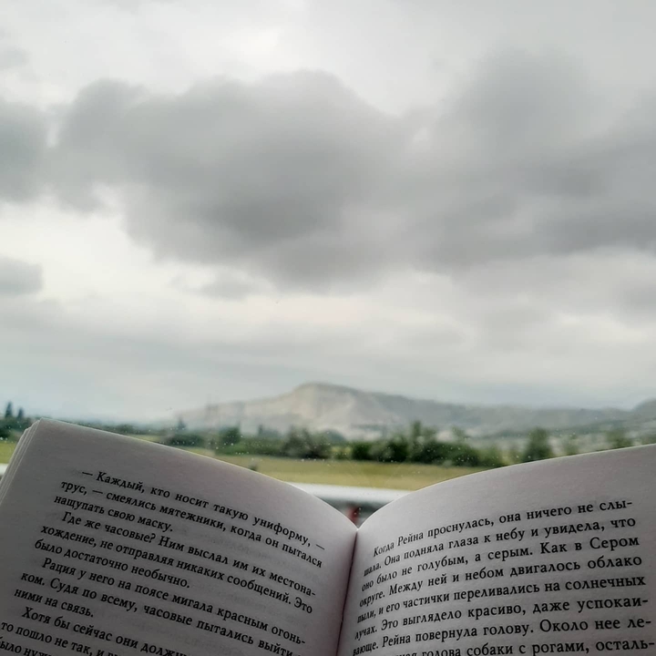 reading book