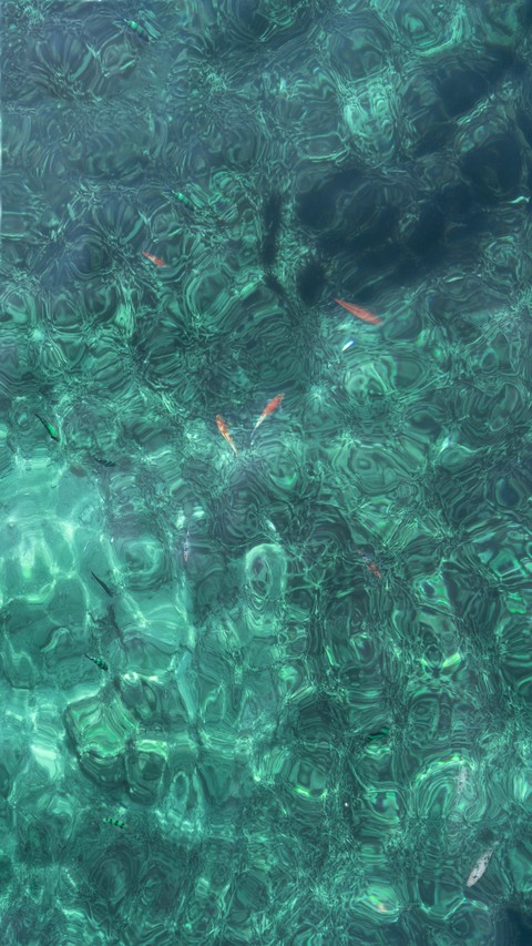 sfondi Fluid, liquid