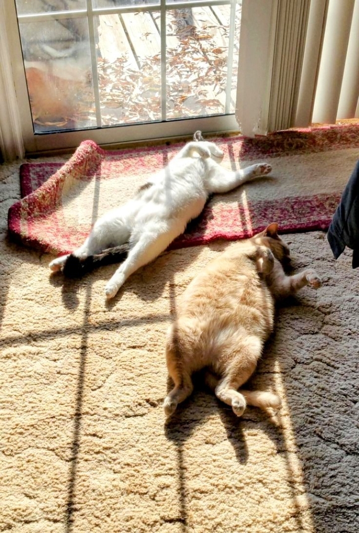 .