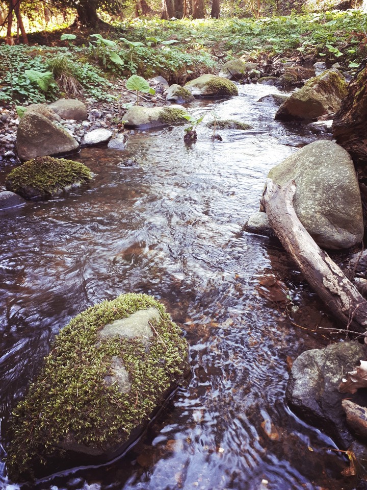 Nature is perfect