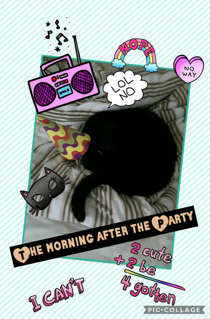 The morning after the Party;) ☆