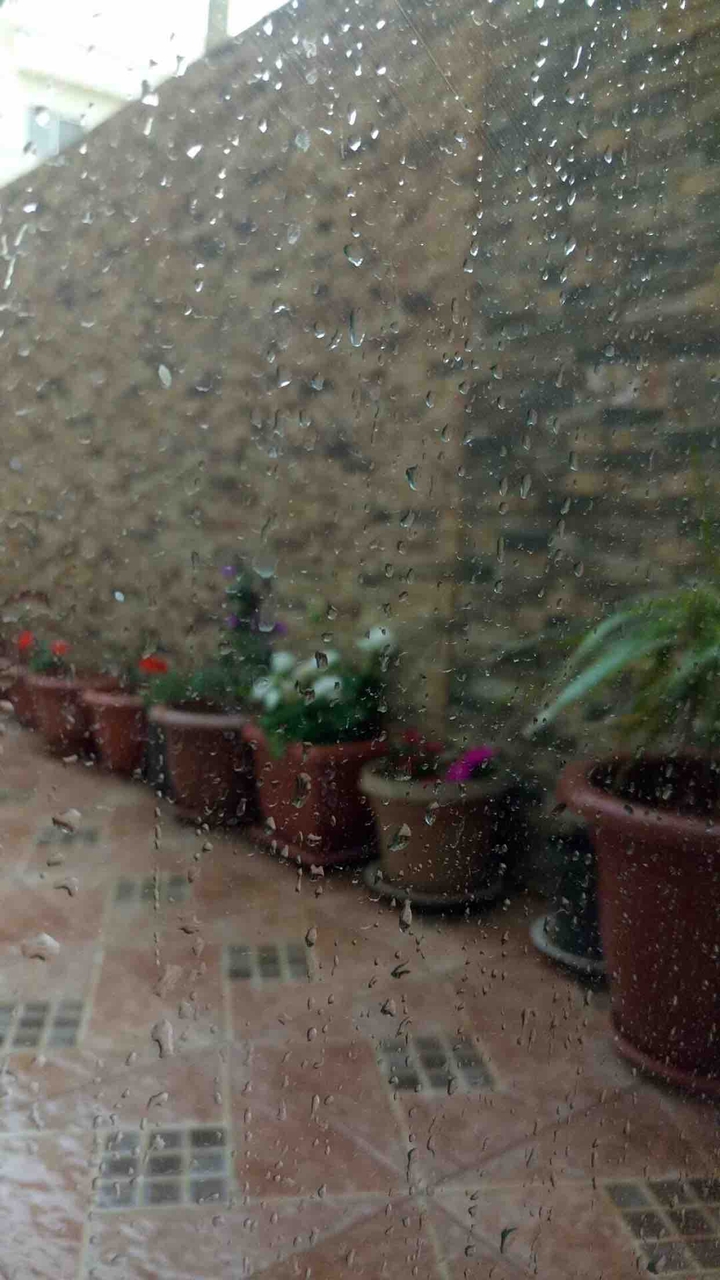 rainy day