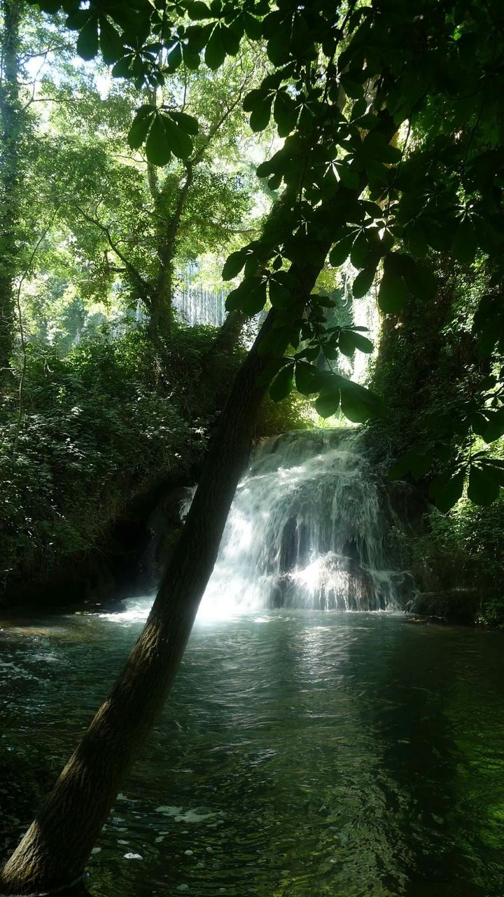 Naturaleza
