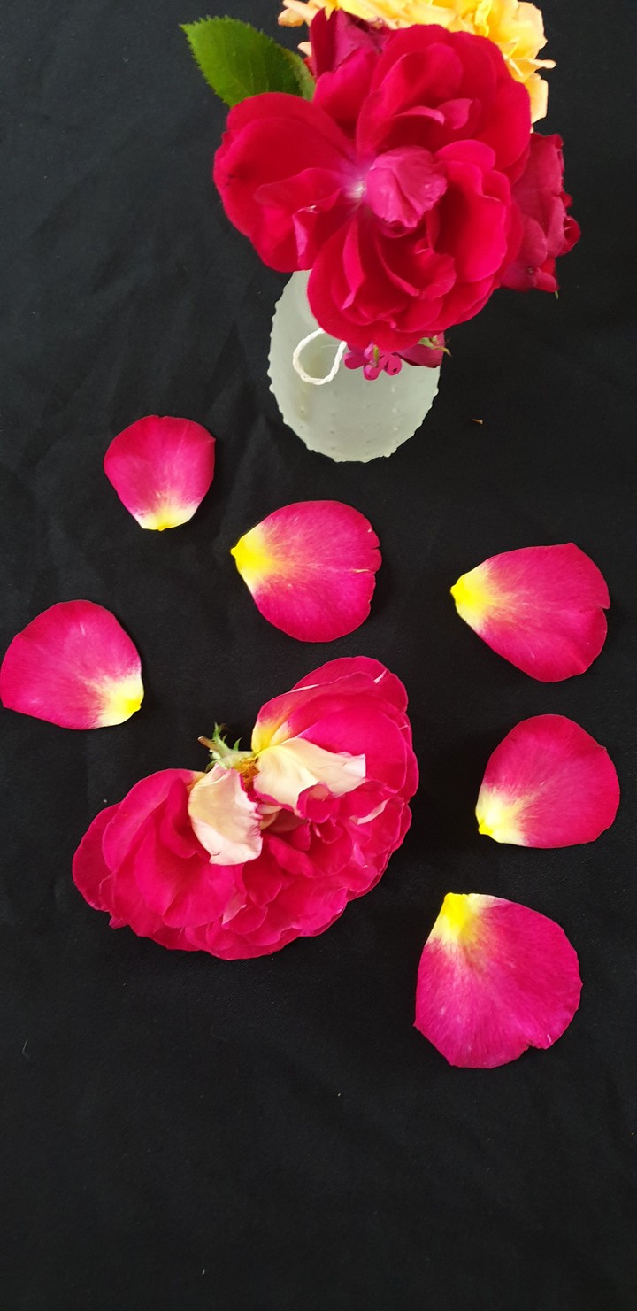 rose and petal