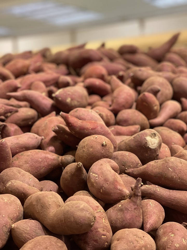 Batata doce pra vocês meus amores.