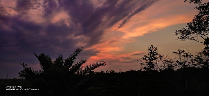 colorful evening