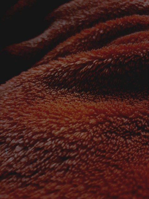 wallpaper