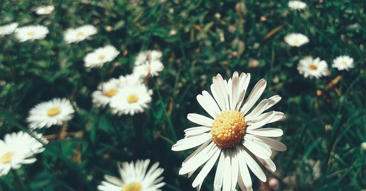 Light happiness