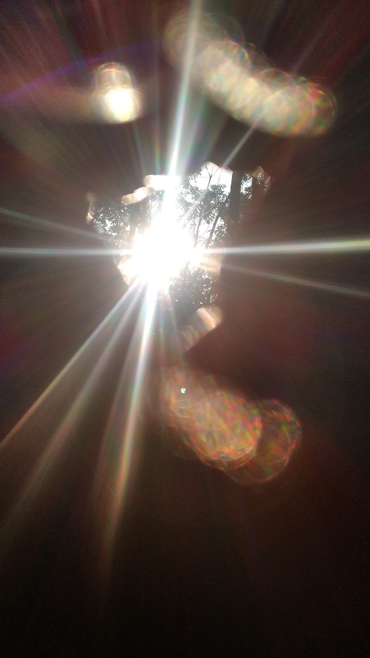 sun light