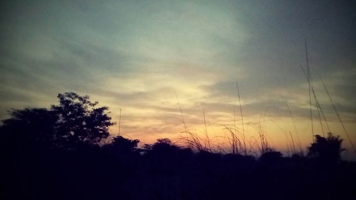 Evening