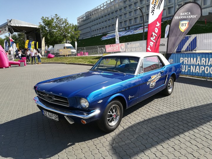 Mustang