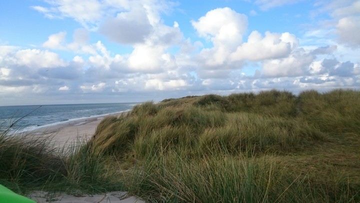 Grüne Brise der Nordseedünen.