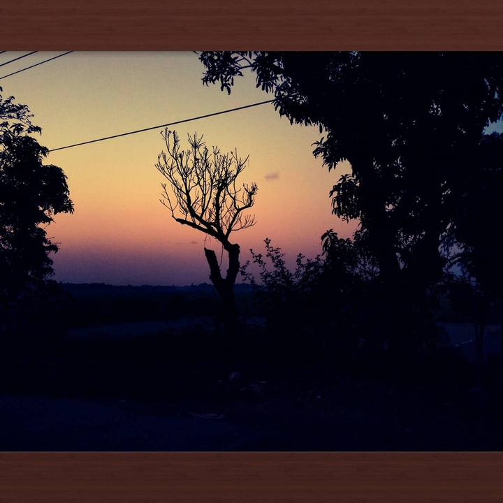tree