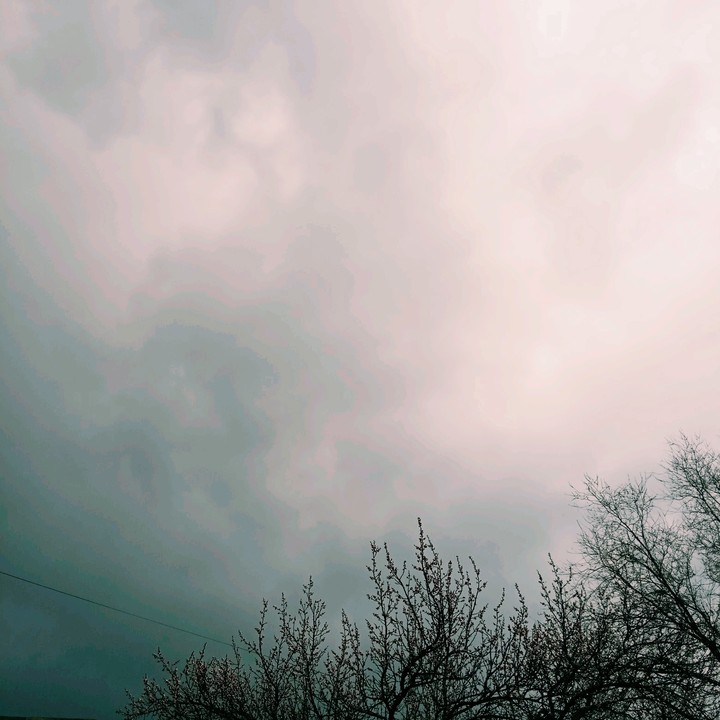 нобо перед грозой