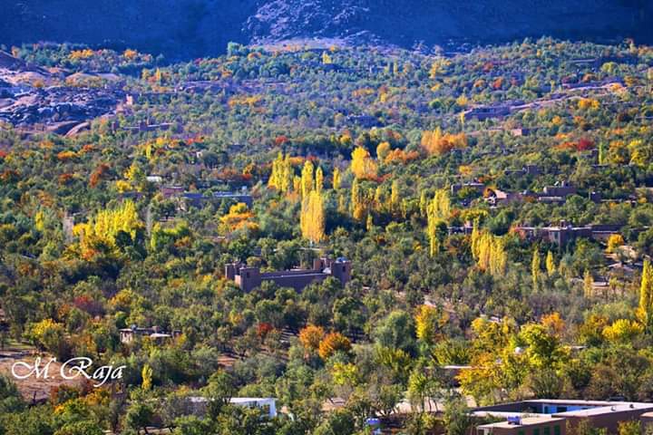 Daikundi province