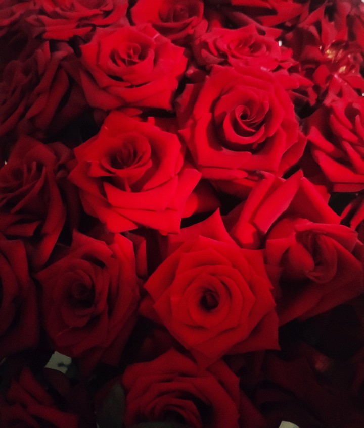 rose