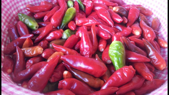 chiles