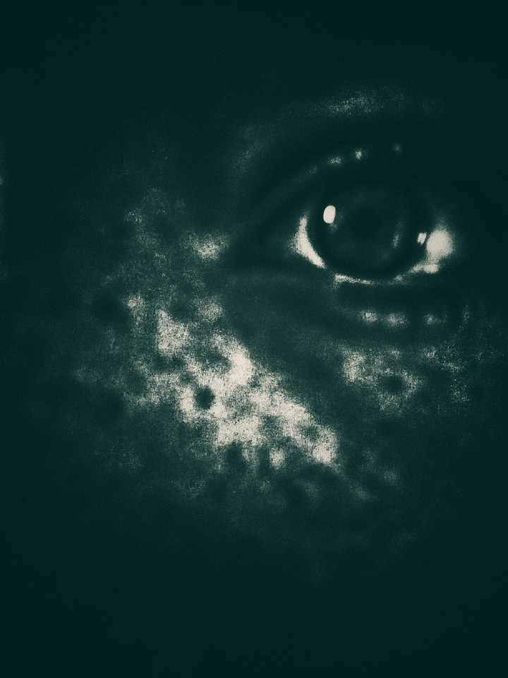eye