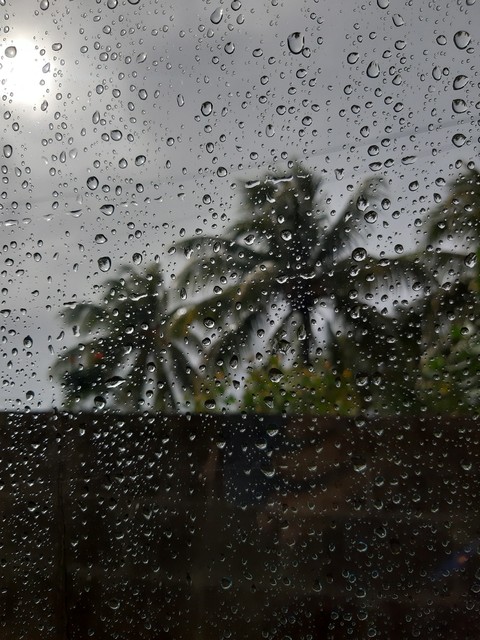 Rain ia the confetti of the sky