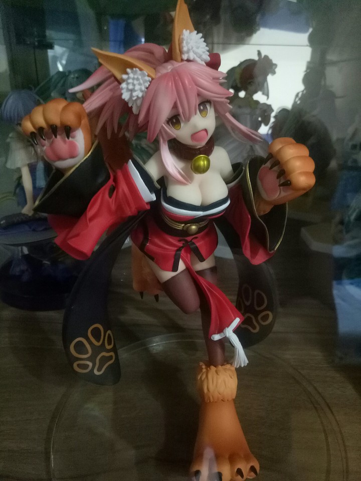 玉藻貓